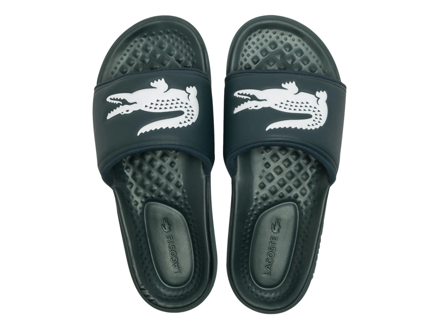 Sandalias Lacoste Croco Dialiste 0722 Ma0020 Para Hombre