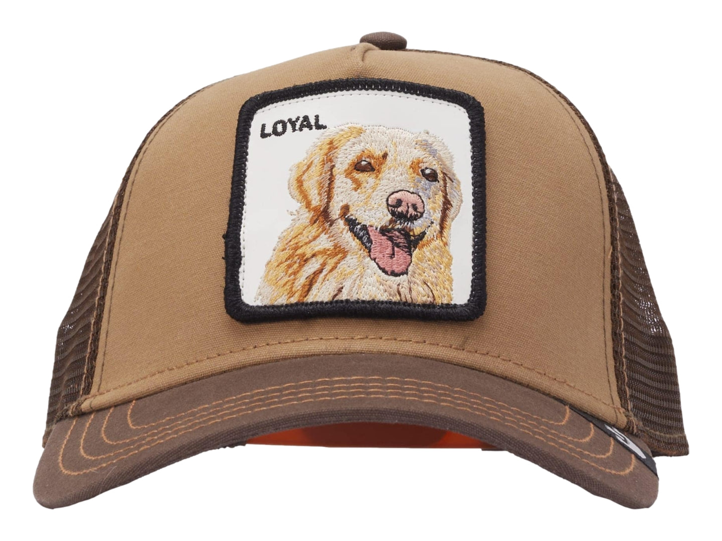Gorras Snapback Goorin Bros The Lotal Dog 0505