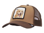 Gorras Snapback Goorin Bros The Lotal Dog 0505