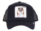 Gorras Snapback Goorin Bros The Butch 0440