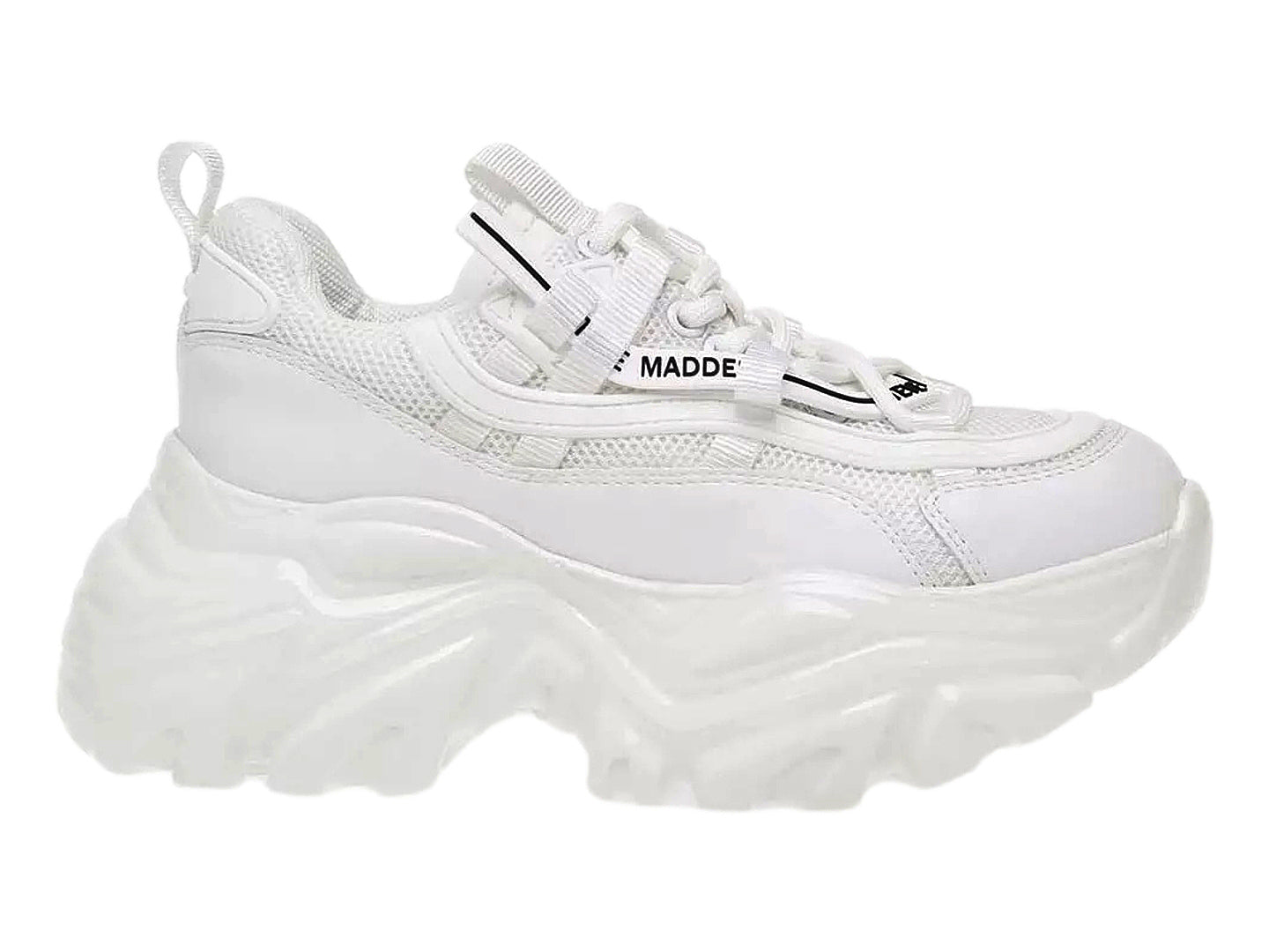 Tenis Steve Madden Recoup Para Mujer