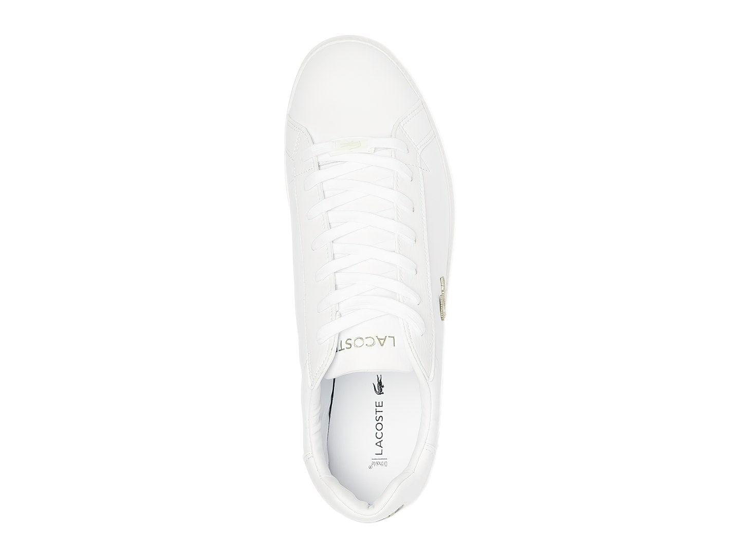 Tenis Lacoste Ma0011 Para Hombre