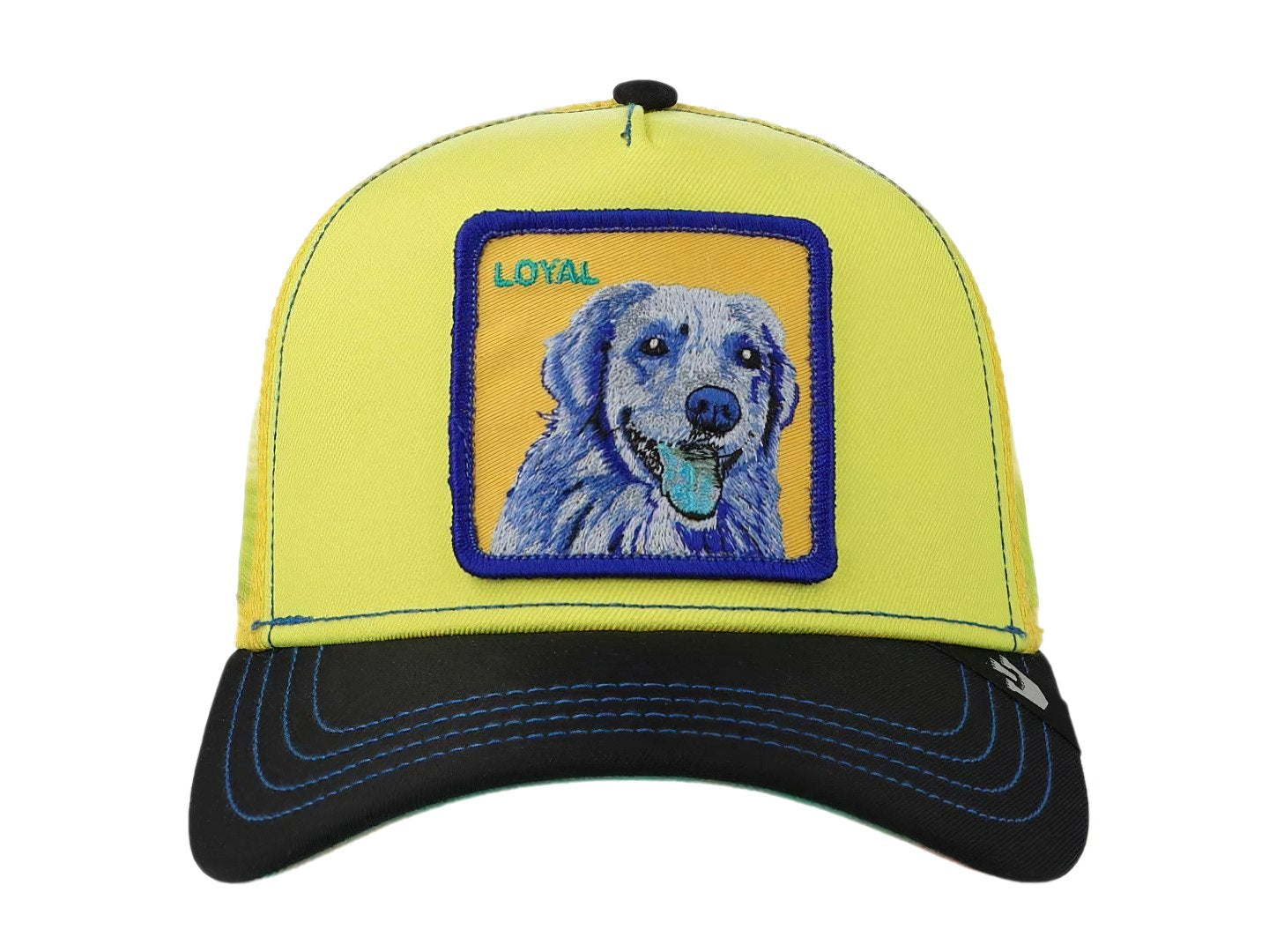 Gorras Snapback Goorin Bros Doggy Trip 1037