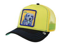 Gorras Snapback Goorin Bros Doggy Trip 1037
