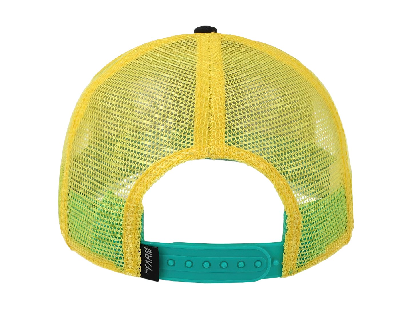 Gorras Snapback Goorin Bros Doggy Trip 1037