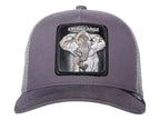Gorras Snapback Goorin Bros Extra Large 1030