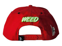 Gorras Snapback Shooter Squad Shooter Squad Oso
