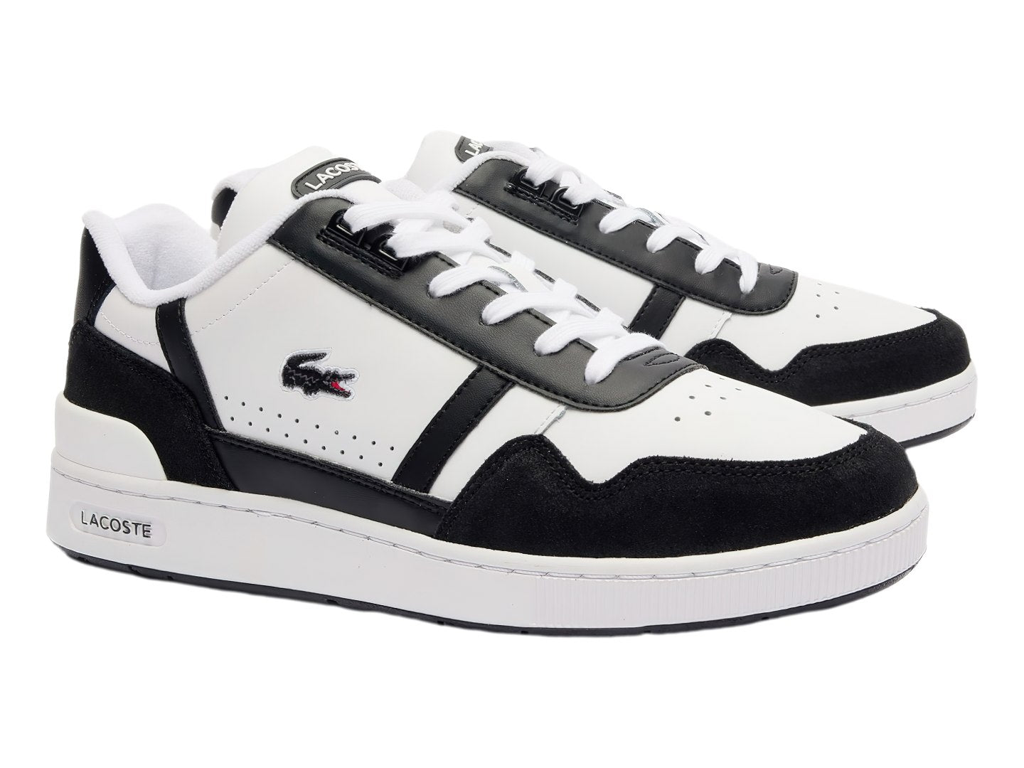 Tenis Lacoste T Clip Ma0073 Para Hombre