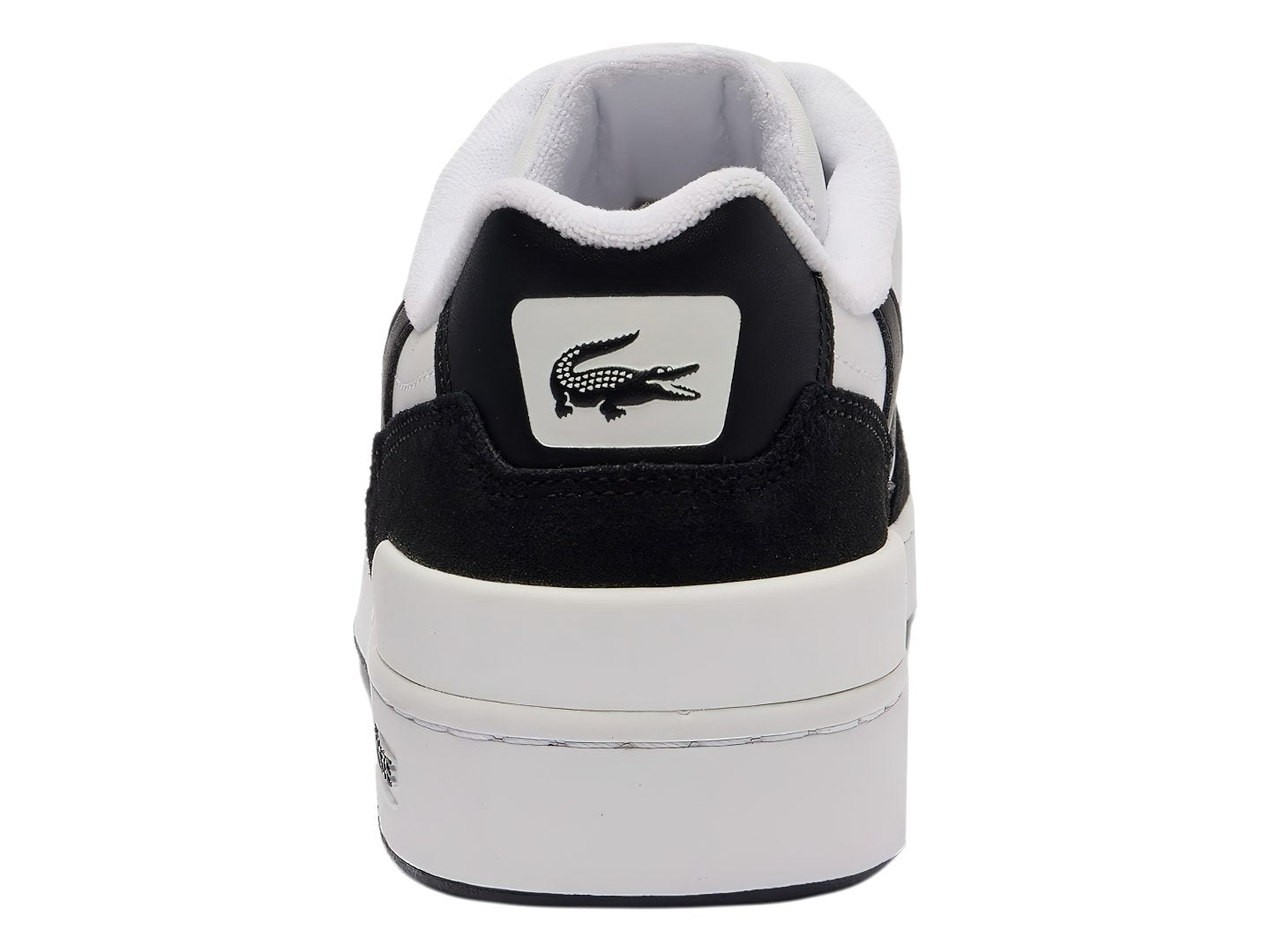 Tenis Lacoste T Clip Ma0073 Para Hombre