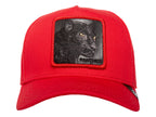 Gorras Snapback Goorin Bros Panther 1108