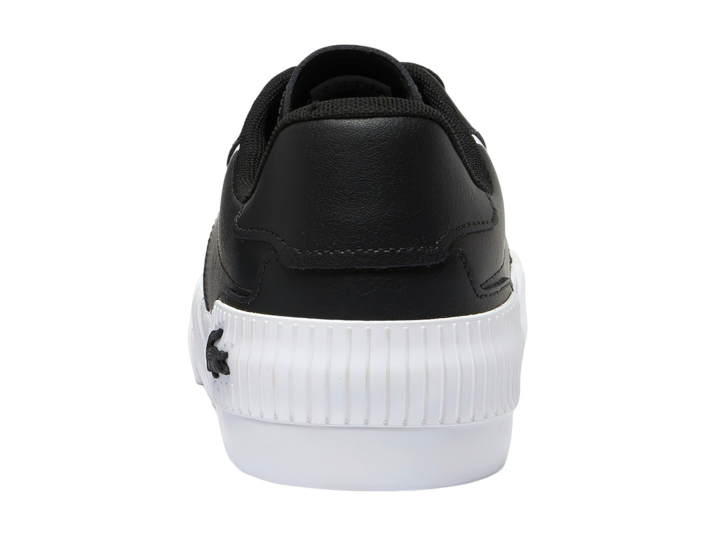 Tenis Lacoste L004 224 Ma0002 Para Hombre