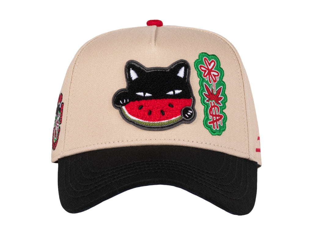 Gorras Snapback Jc Hats Watermelon Cat 2870