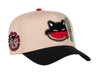 Gorras Snapback Jc Hats Watermelon Cat 2870