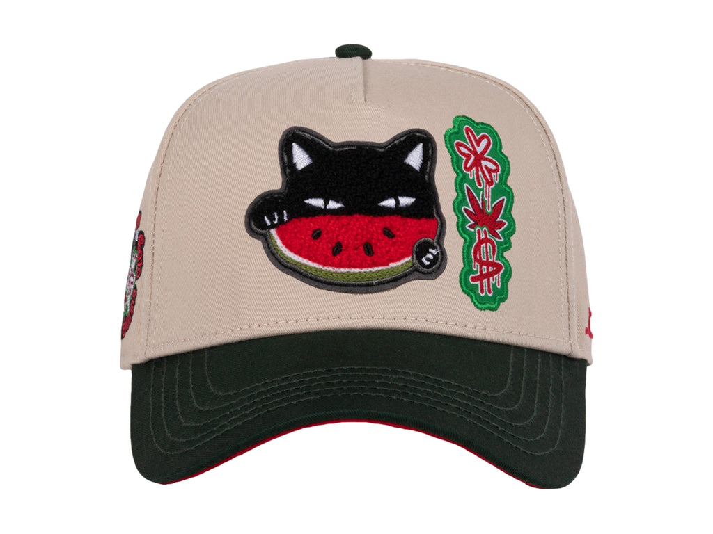 Gorras Snapback Jc Hats Watermelon Cat 2878