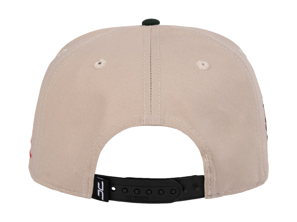 Gorras Snapback Jc Hats Watermelon Cat 2878