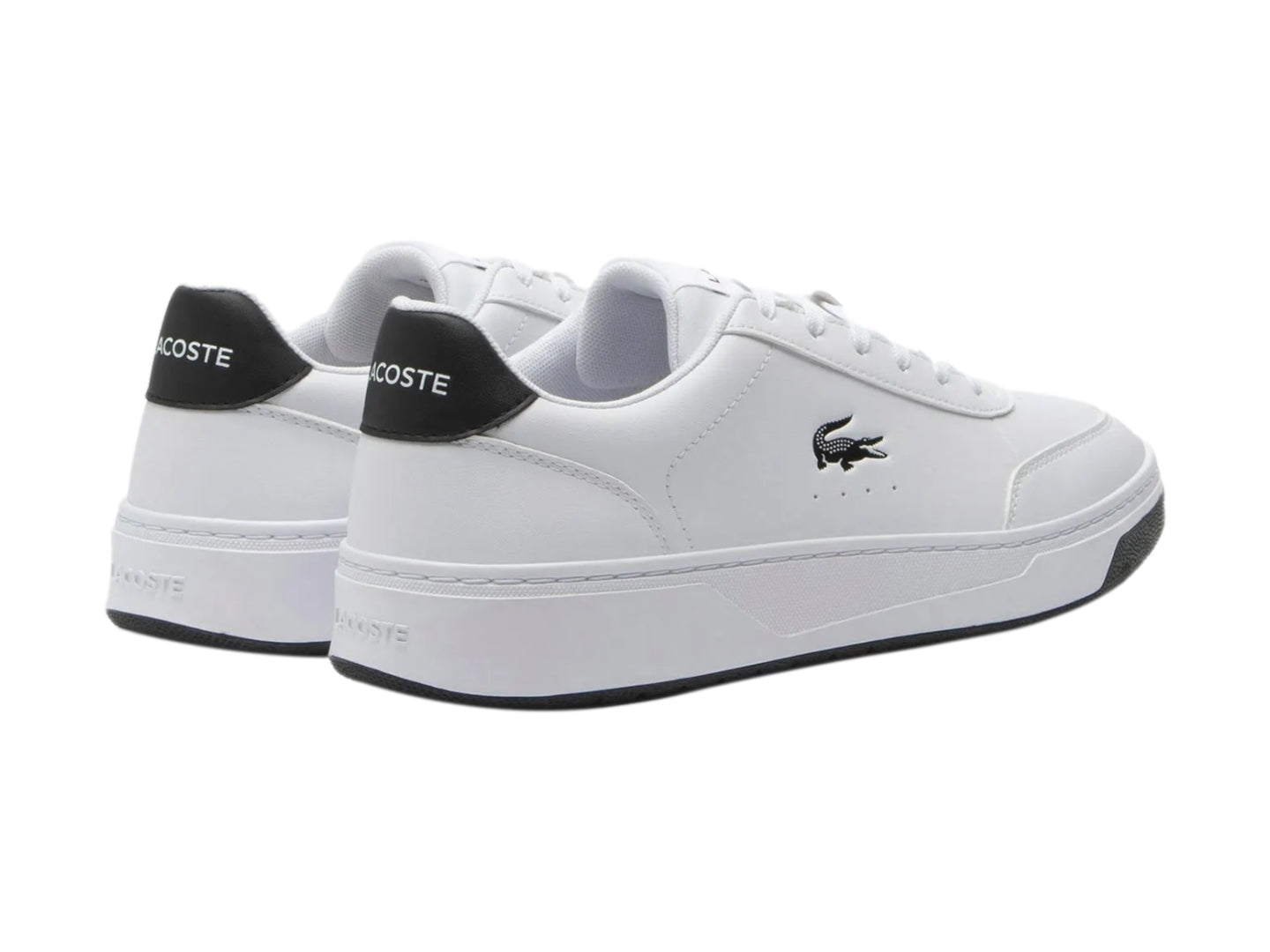 Tenis Lacoste Ma0073 Para Hombre